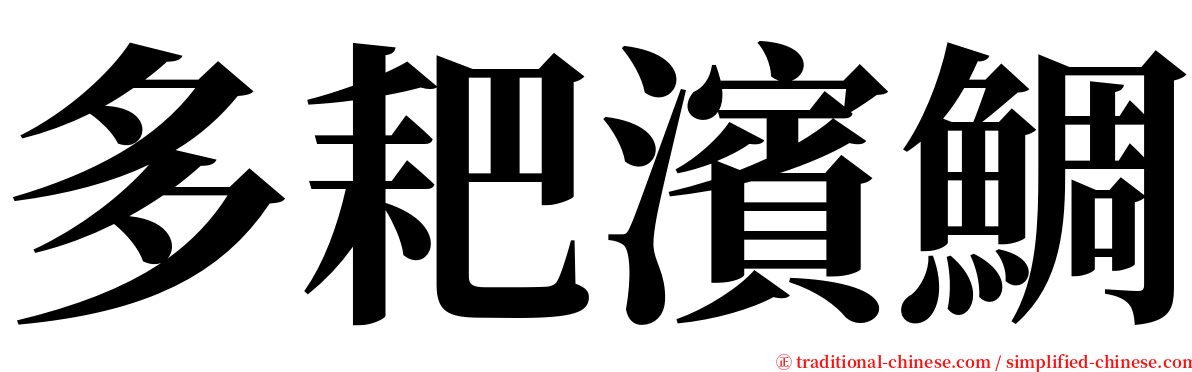 多耙濱鯛 serif font