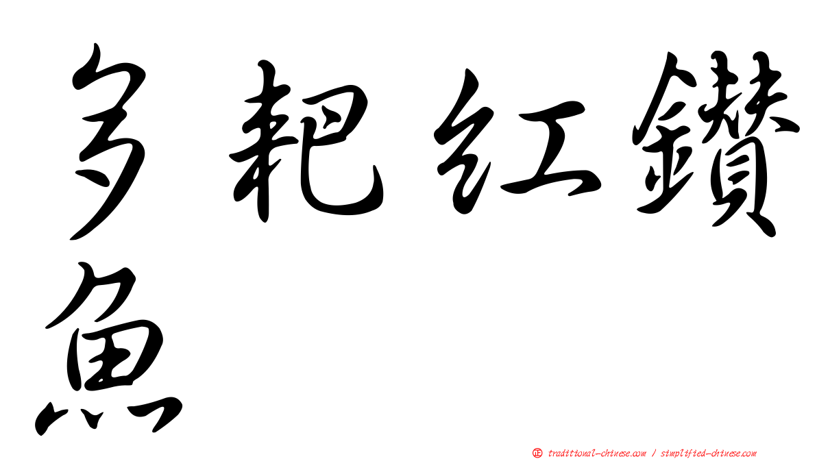 多耙紅鑽魚
