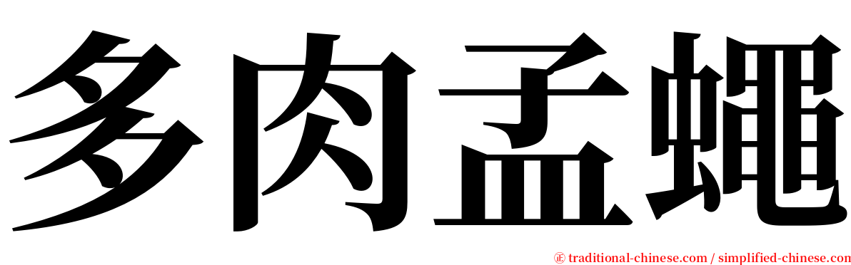 多肉孟蠅 serif font