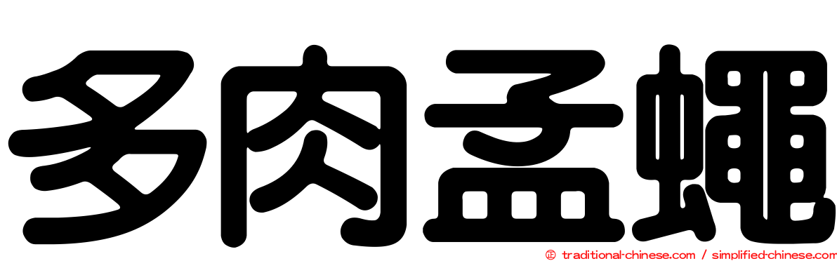 多肉孟蠅