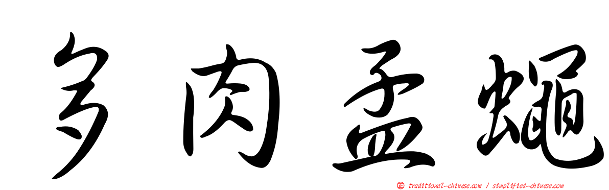 多肉孟蠅