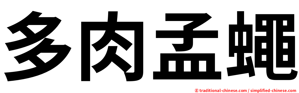 多肉孟蠅