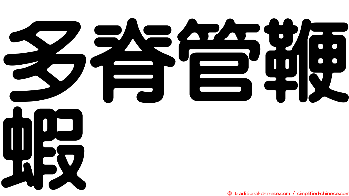 多脊管鞭蝦