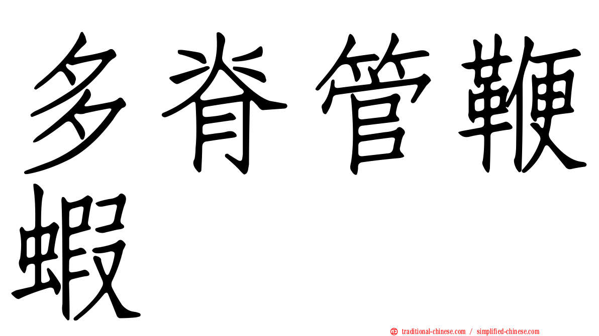 多脊管鞭蝦