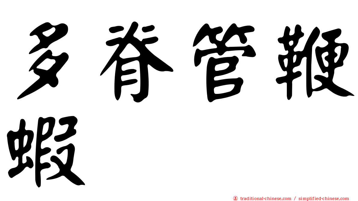 多脊管鞭蝦