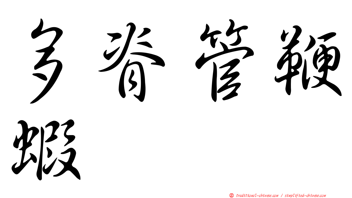 多脊管鞭蝦