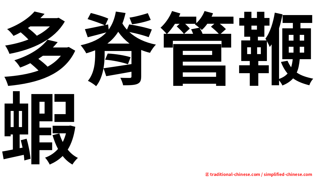 多脊管鞭蝦