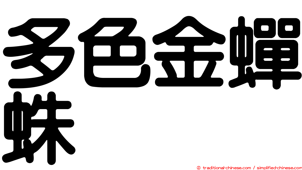多色金蟬蛛