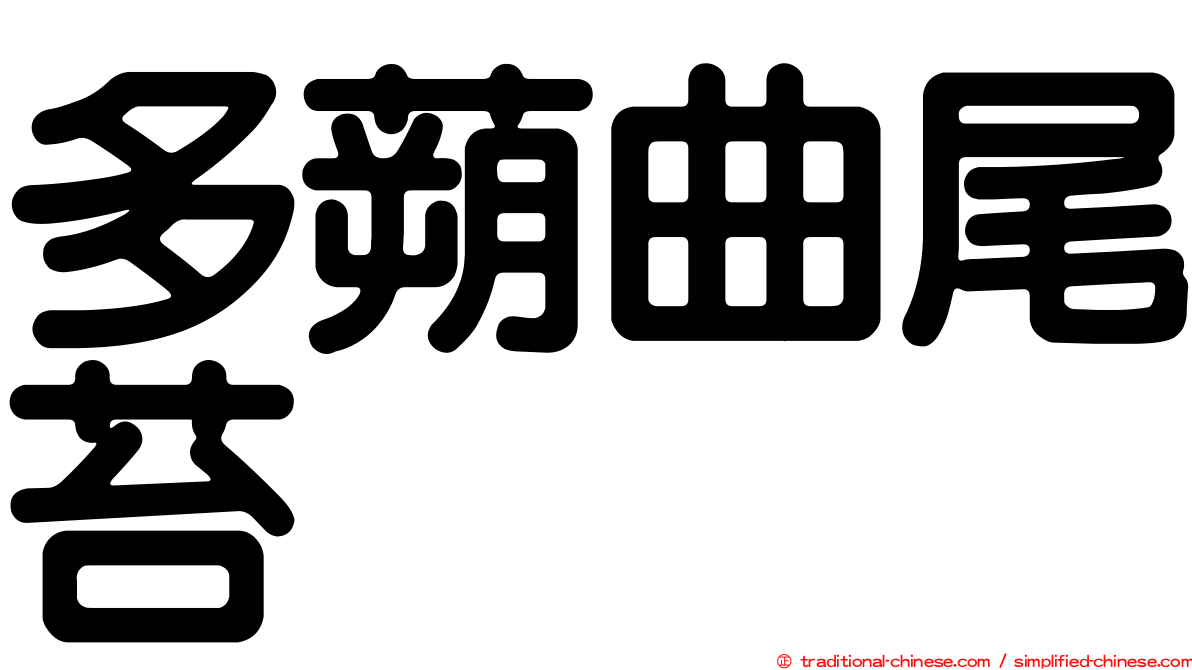 多蒴曲尾苔