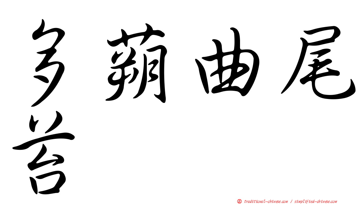 多蒴曲尾苔