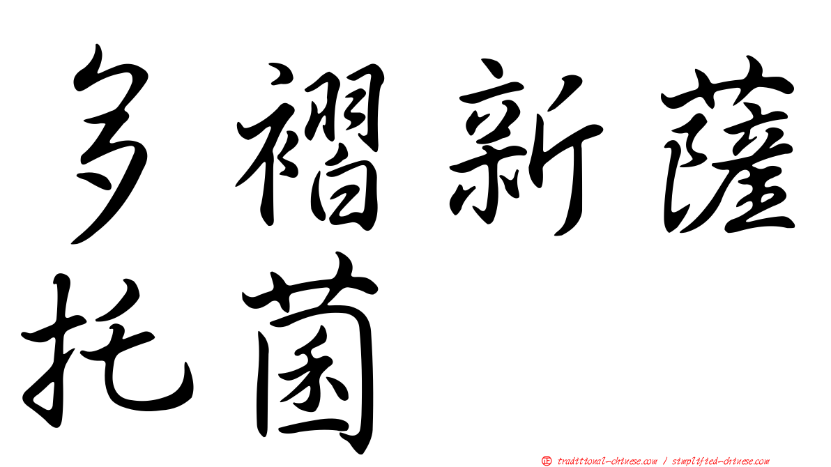 多褶新薩托菌