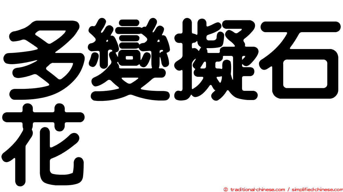 多變擬石花