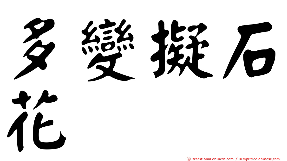 多變擬石花