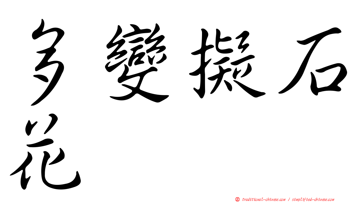多變擬石花