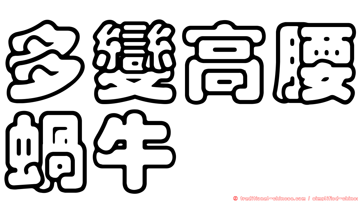 多變高腰蝸牛