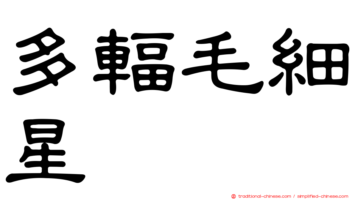 多輻毛細星