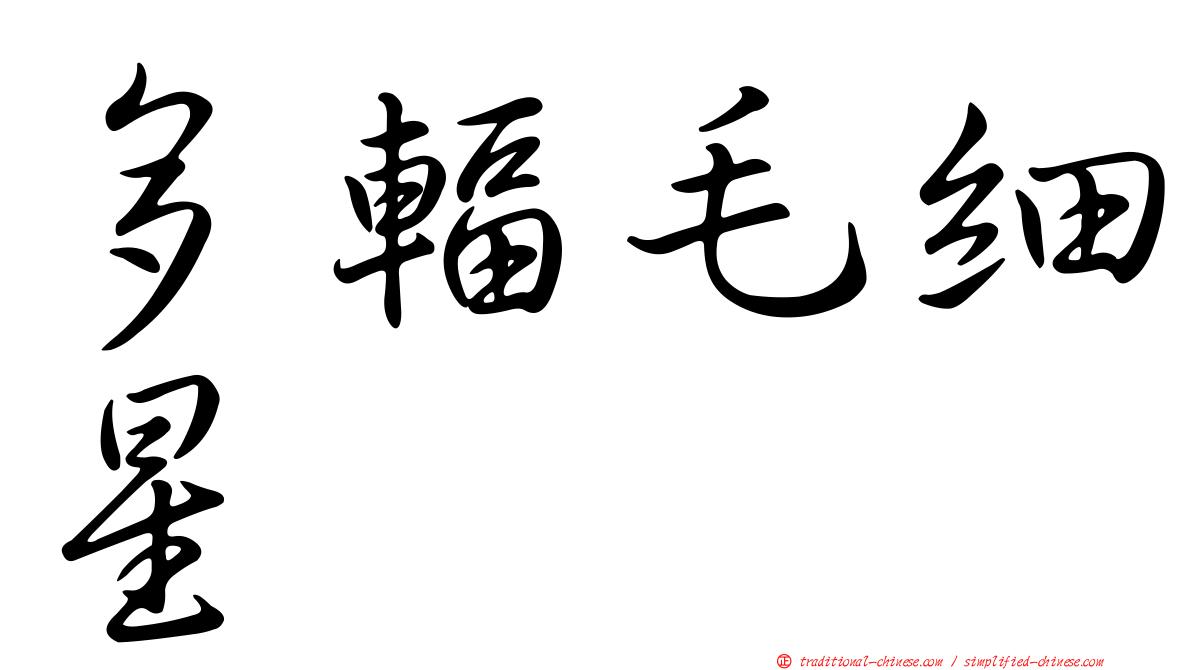 多輻毛細星