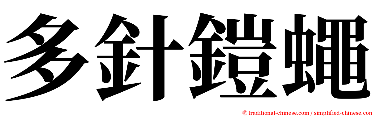 多針鎧蠅 serif font