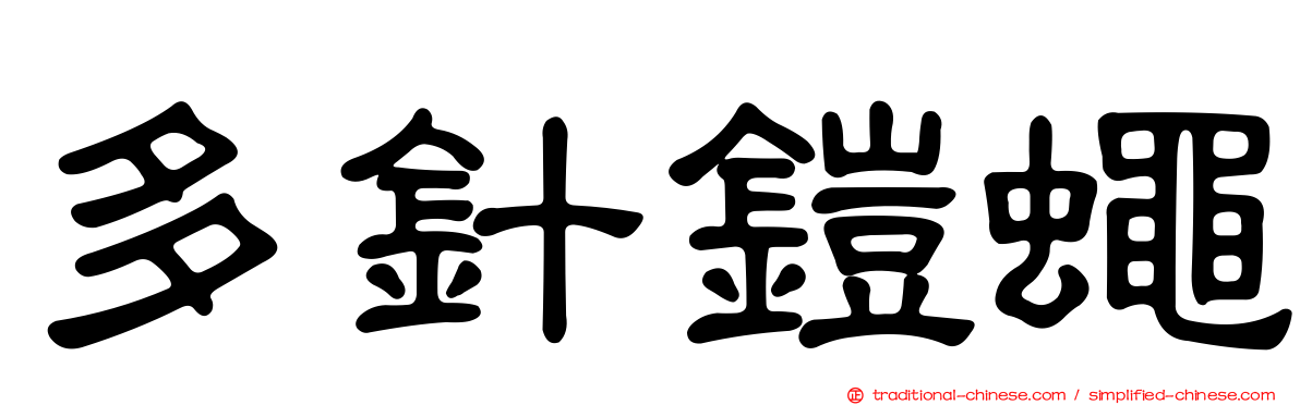 多針鎧蠅