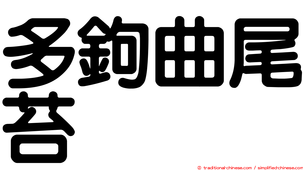 多鉤曲尾苔