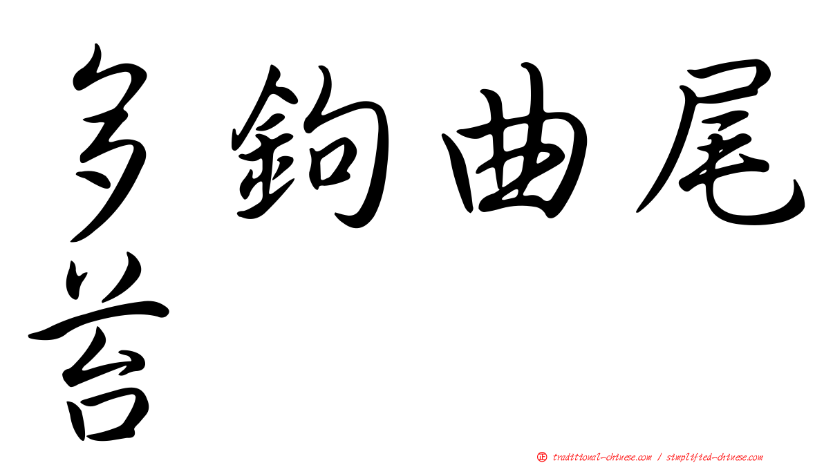 多鉤曲尾苔
