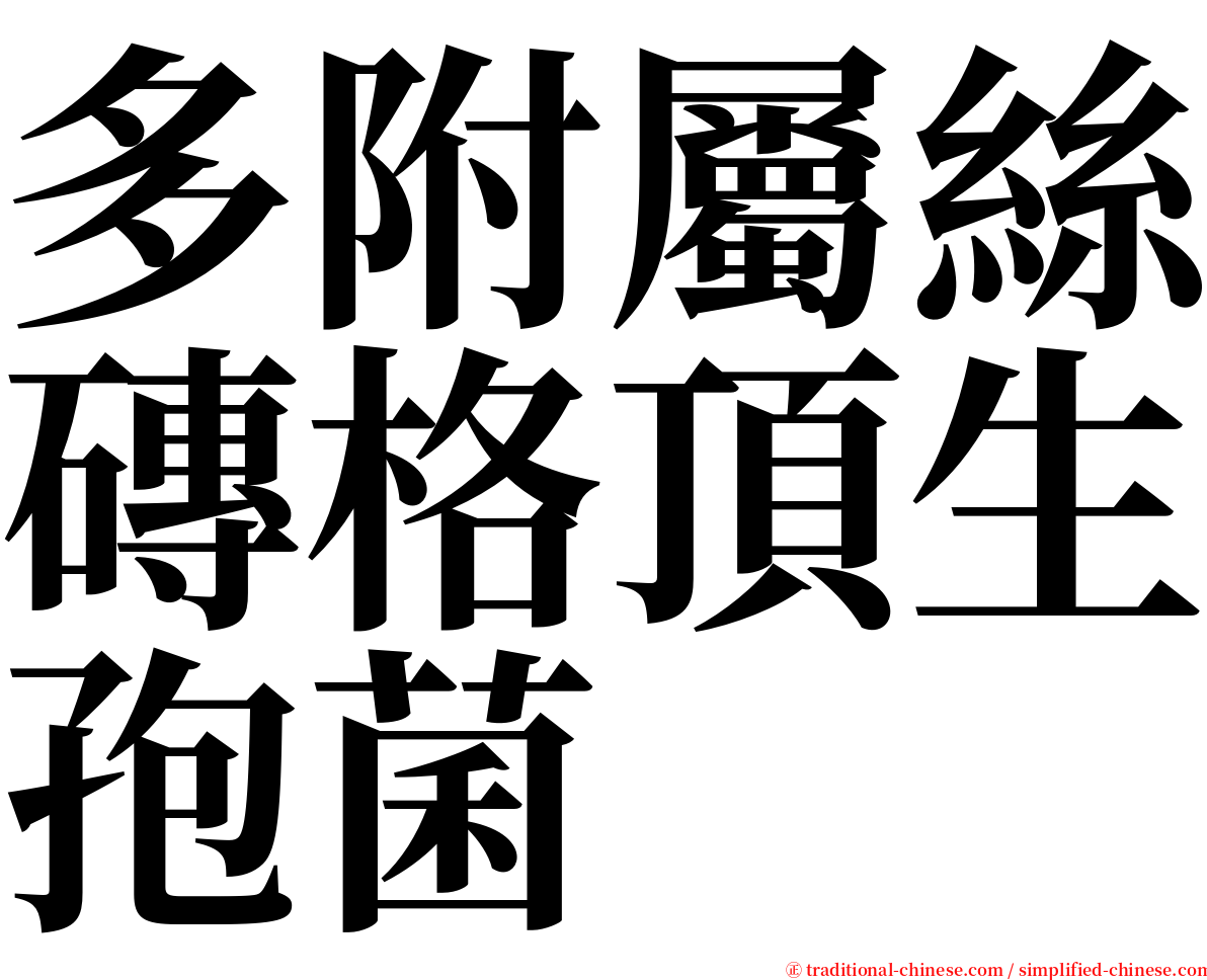 多附屬絲磚格頂生孢菌 serif font