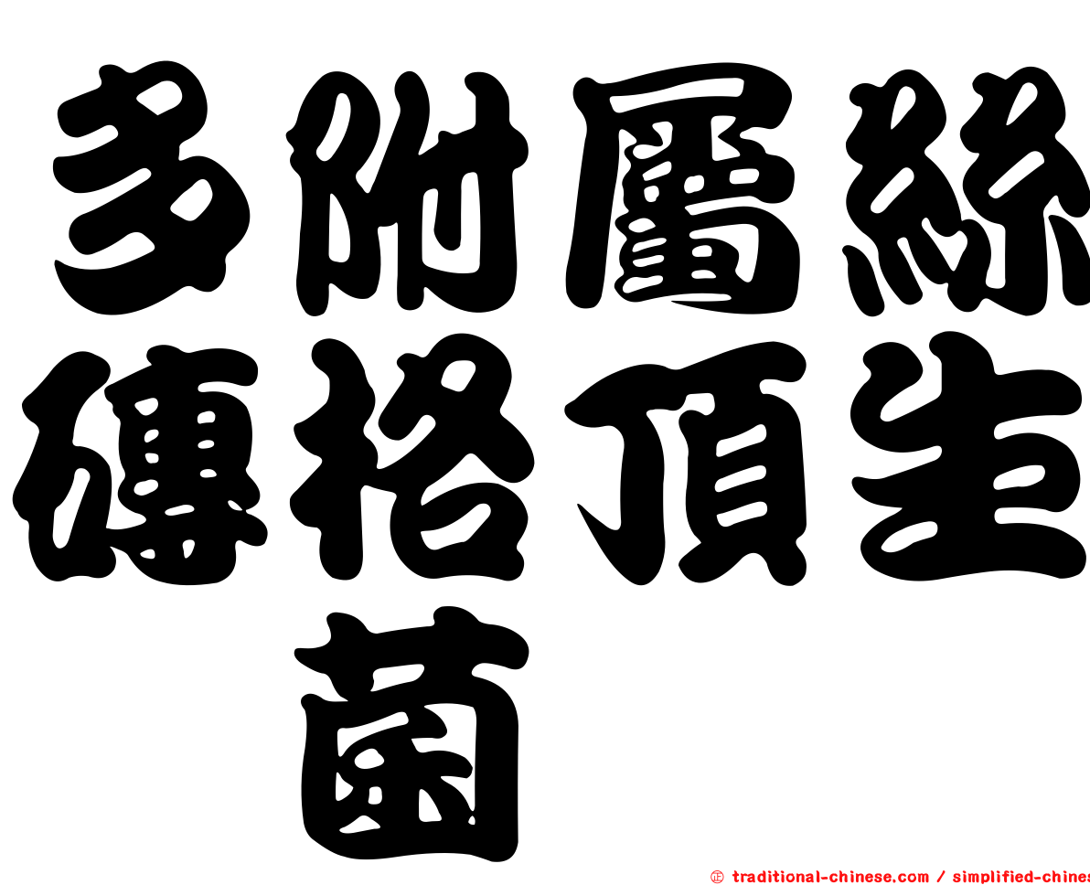 多附屬絲磚格頂生孢菌