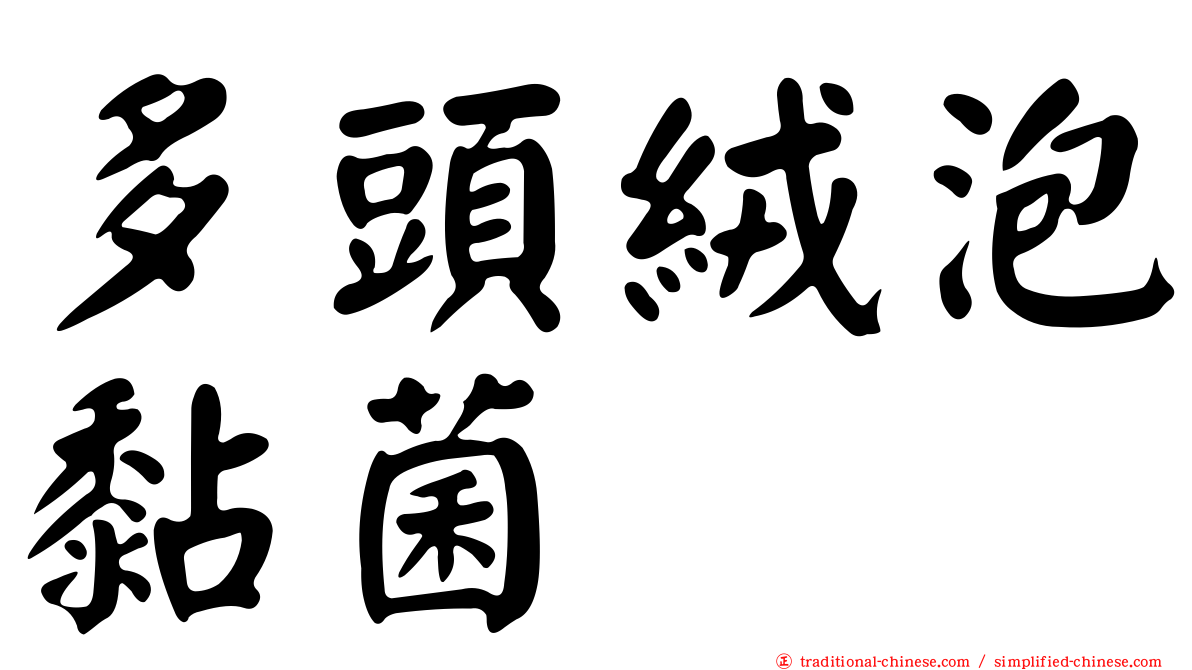 多頭絨泡黏菌