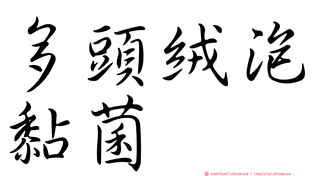 多頭絨泡黏菌