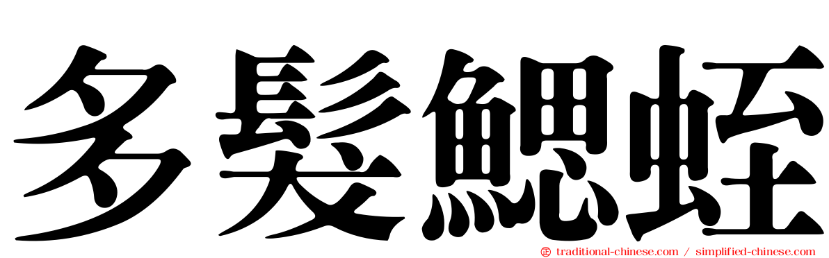 多髮鰓蛭