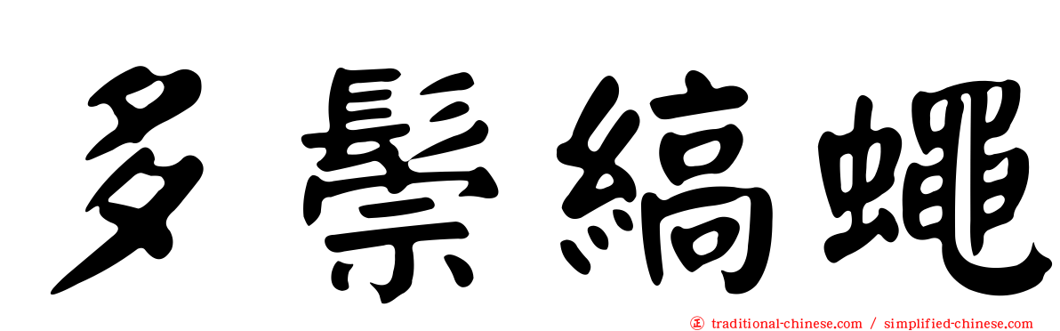 多鬃縞蠅
