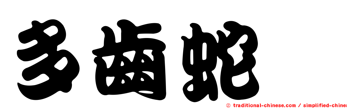 多齒蛇鯔