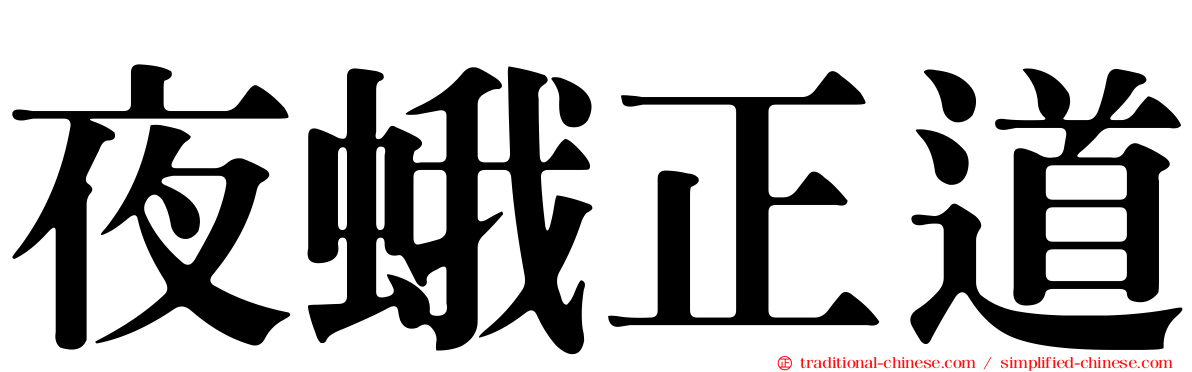 夜蛾正道