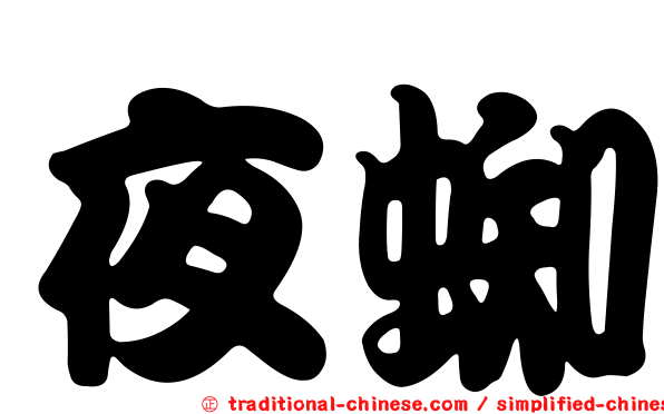 夜蜘