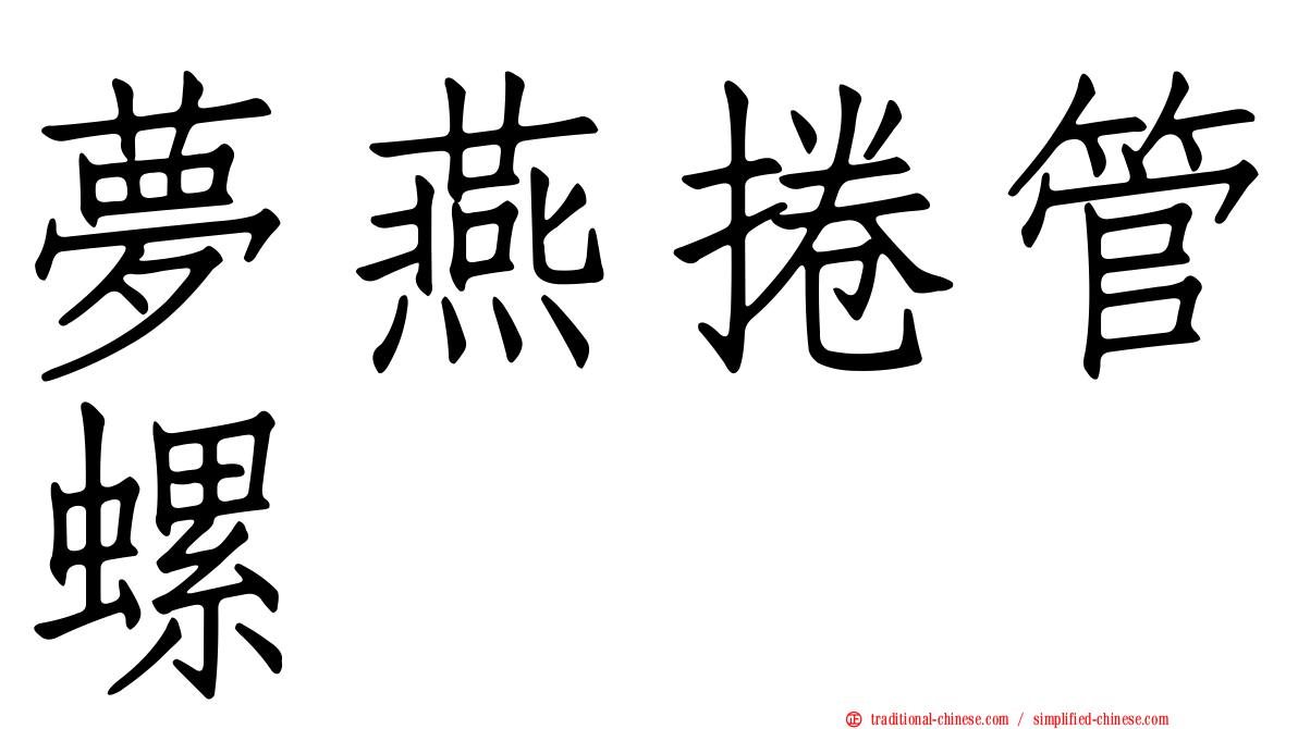 夢燕捲管螺