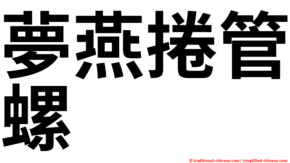 夢燕捲管螺