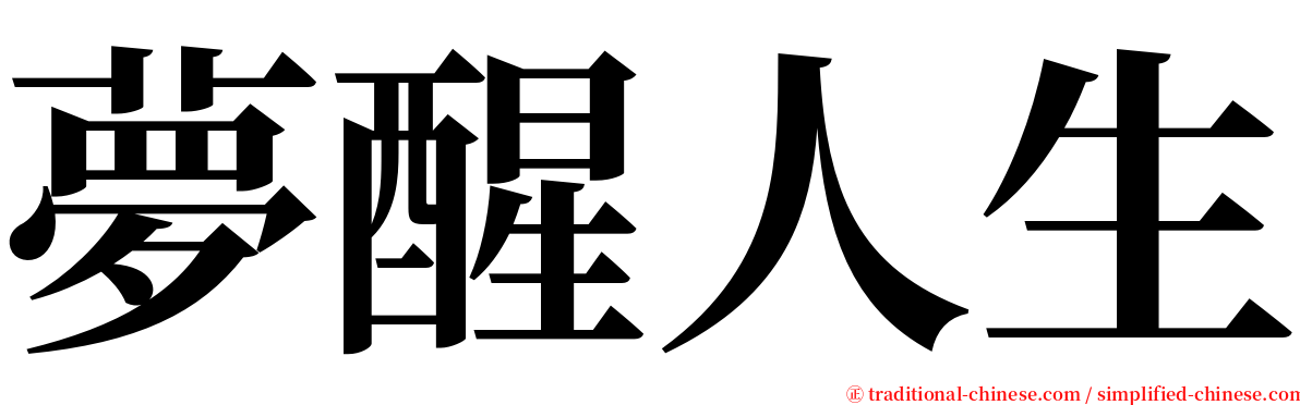 夢醒人生 serif font