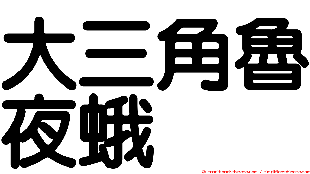 大三角魯夜蛾