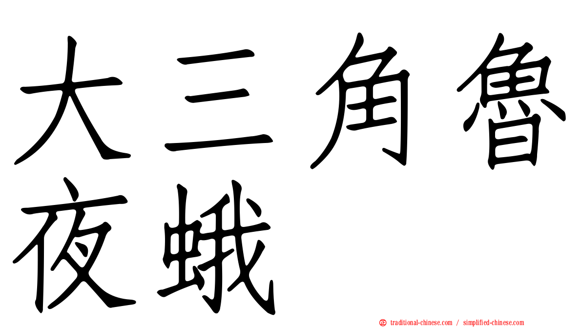 大三角魯夜蛾