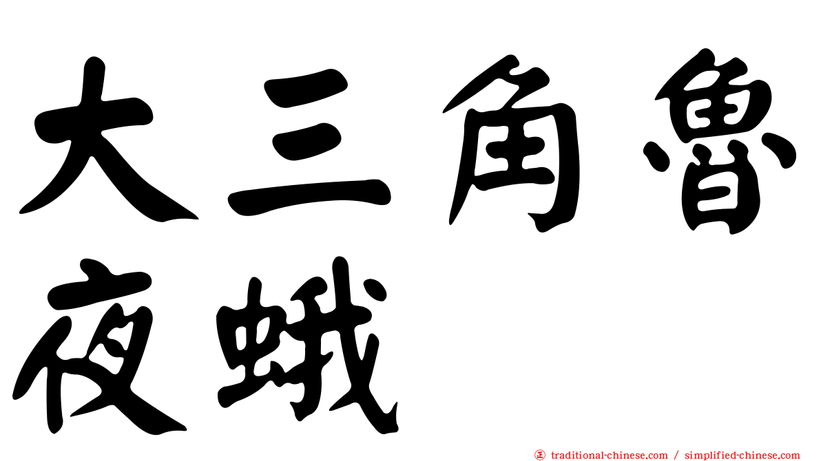 大三角魯夜蛾