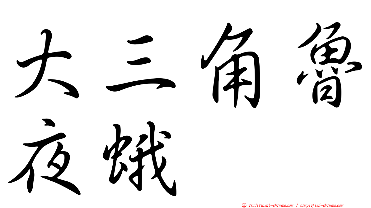 大三角魯夜蛾