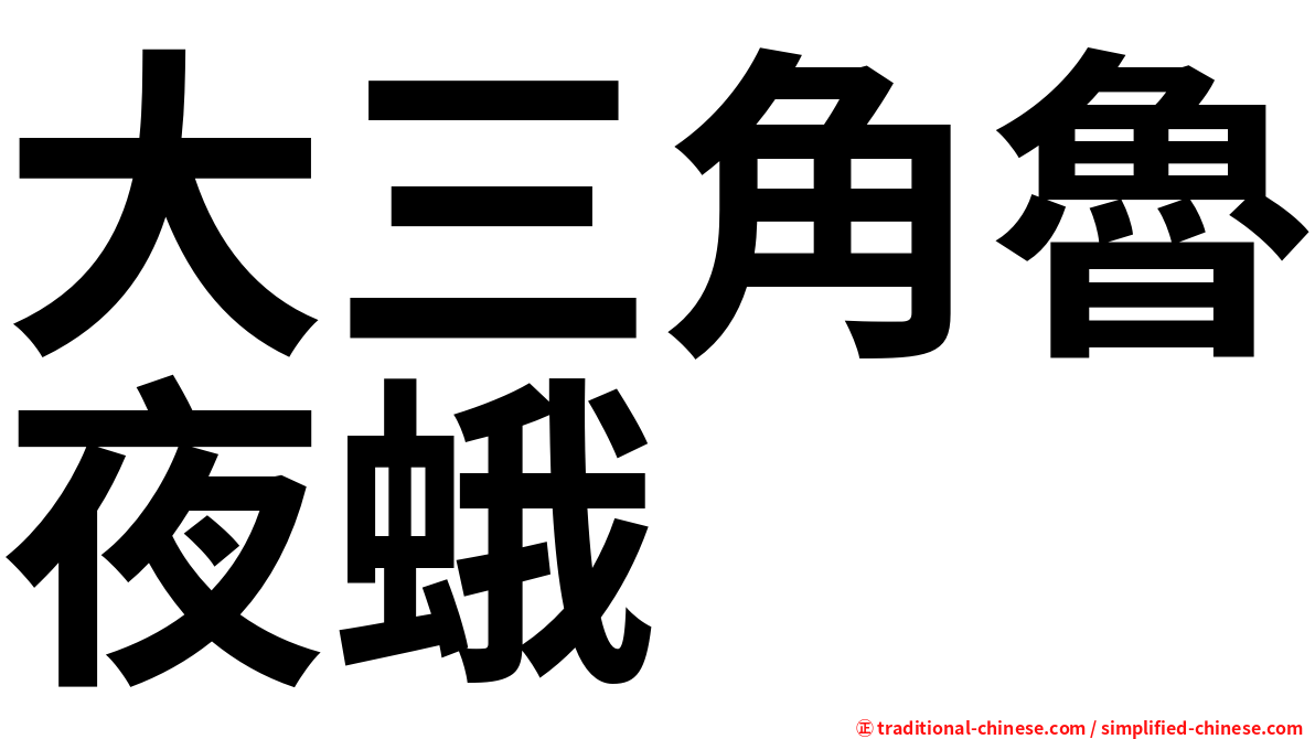 大三角魯夜蛾