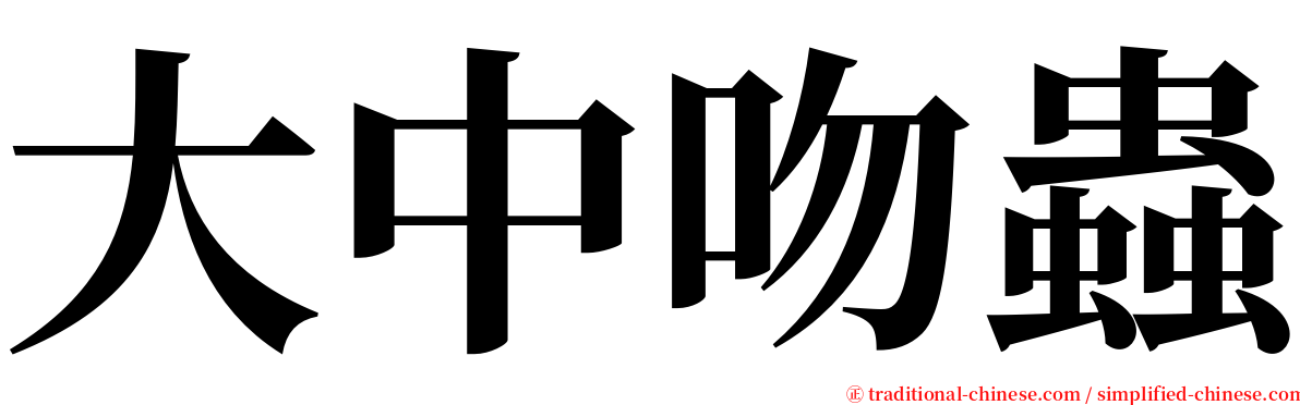 大中吻蟲 serif font