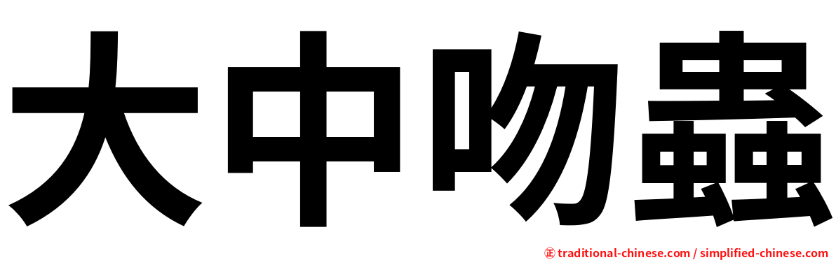 大中吻蟲