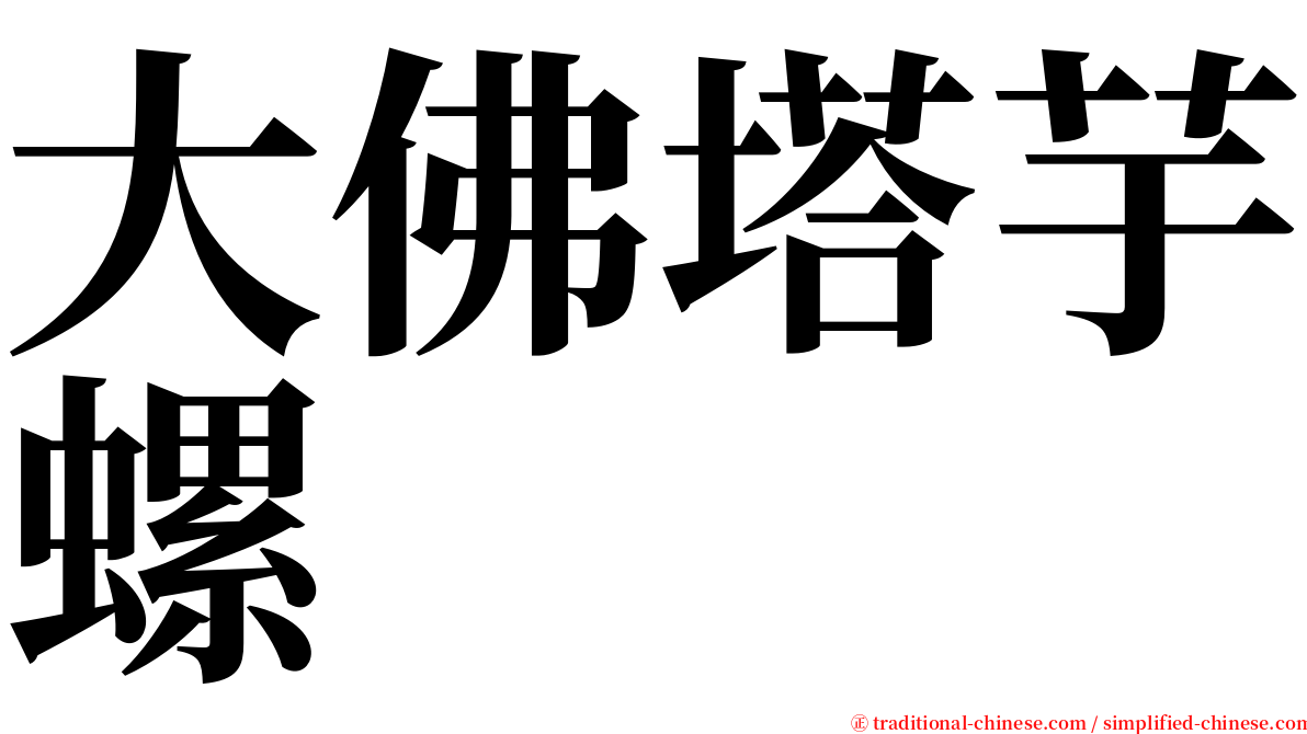大佛塔芋螺 serif font