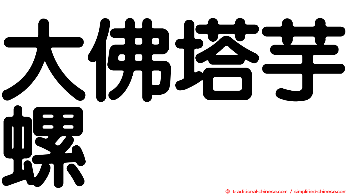 大佛塔芋螺
