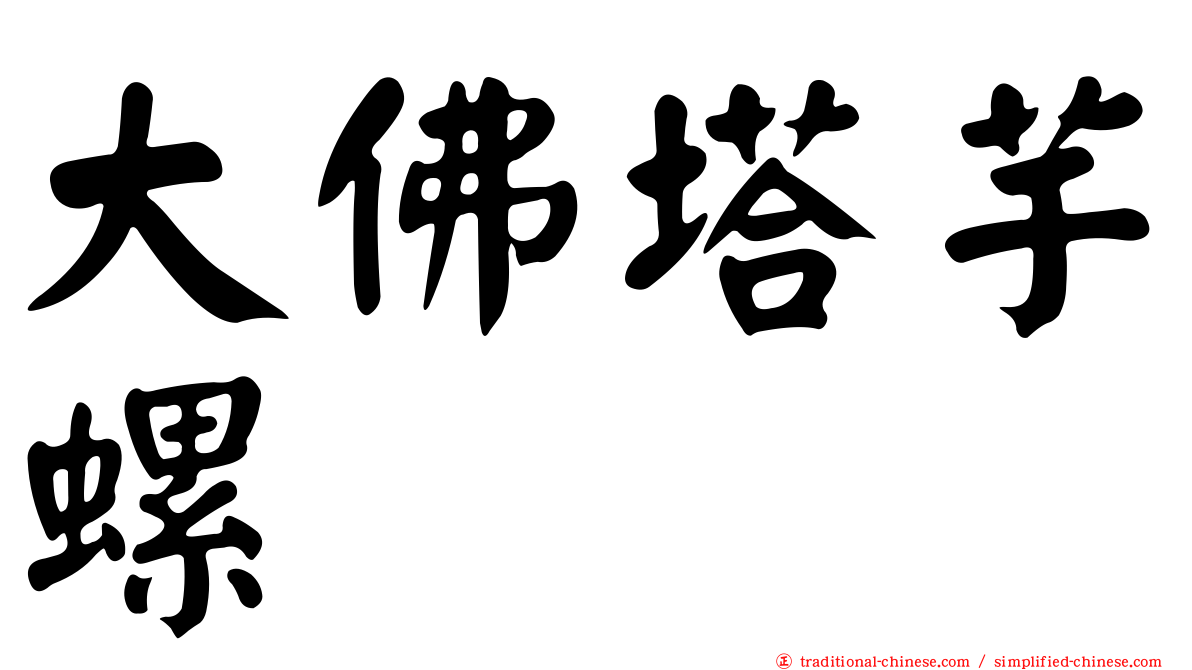 大佛塔芋螺