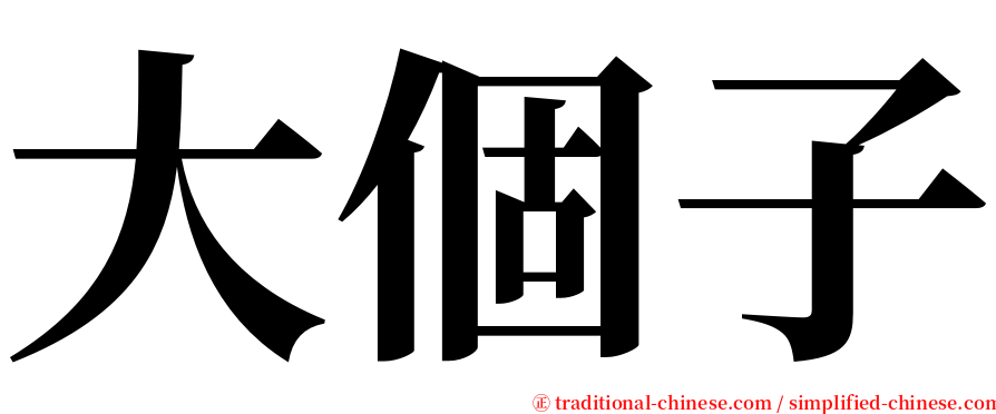 大個子 serif font