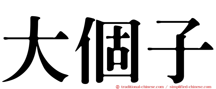 大個子
