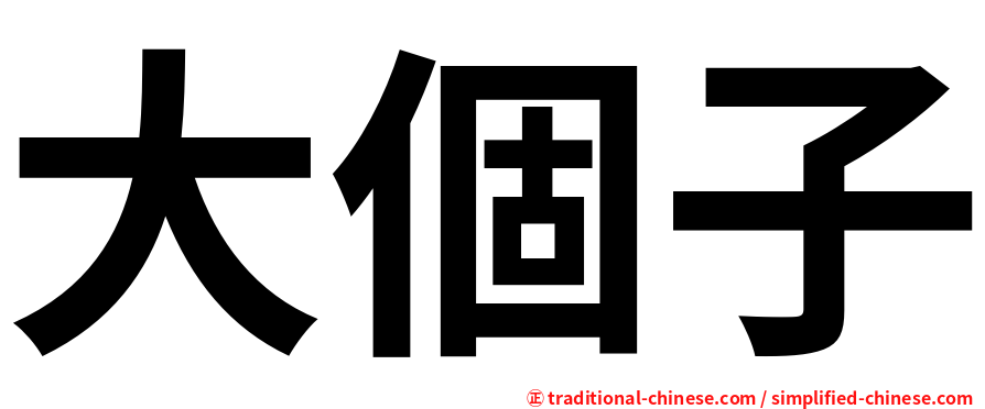 大個子